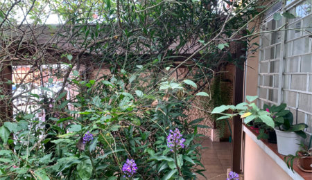 Casa Térrea à venda com 3 quartos em Chácara Santo Antônio (zona Sul), São Paulo, SP