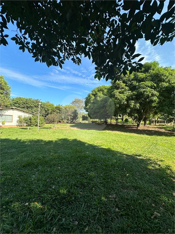 Chácara à venda em Jardim Universitário, Ponta Porã, MS