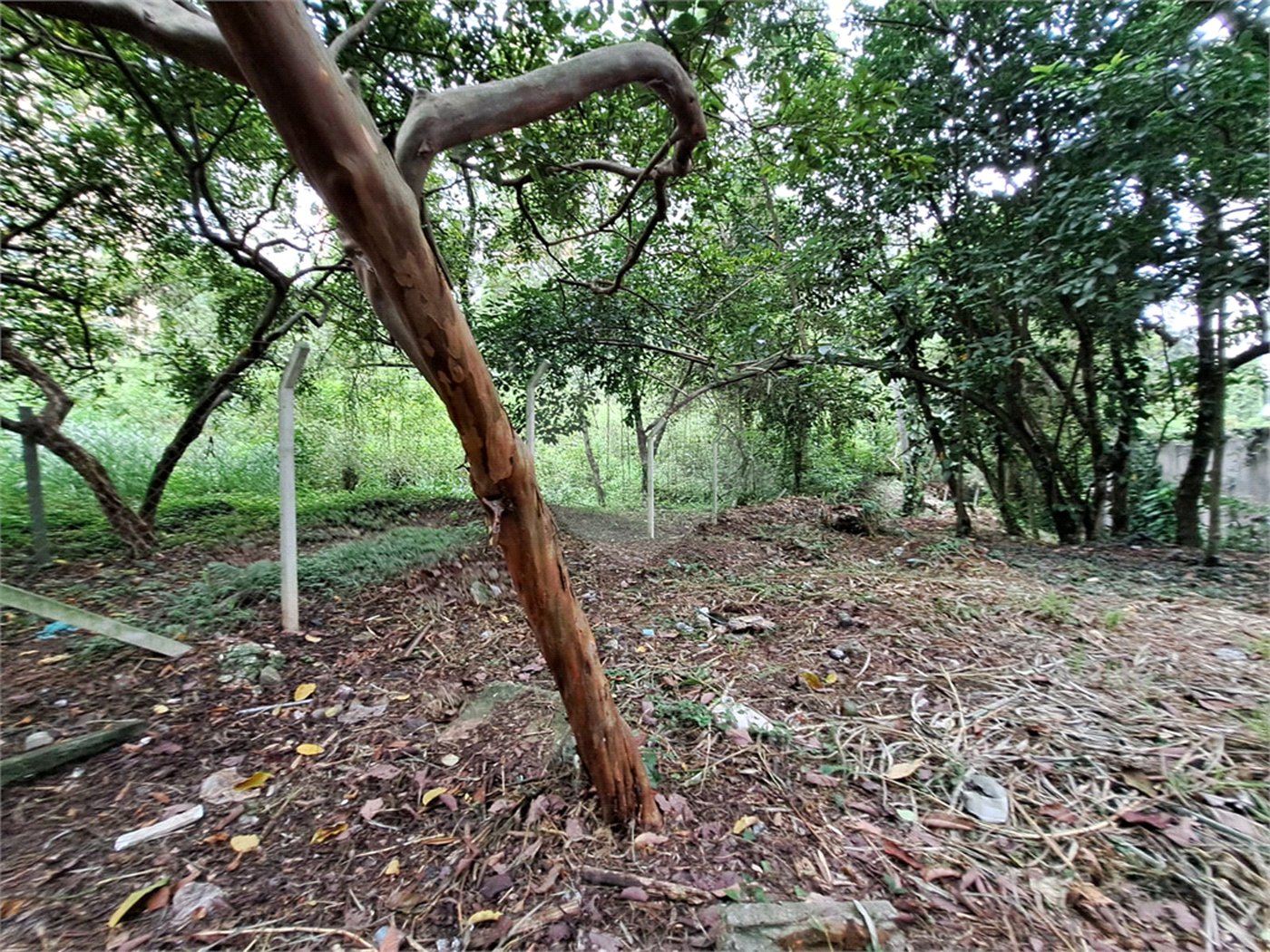 Terreno à venda em Jardim Ampliação, São Paulo, SP