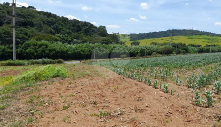 Área de Terra à venda em Paraíso das Aves, Itatiba, SP