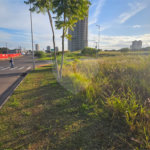 Terreno para alugar no condomínio Residendencial Vila Inglesa, Indaiatuba - SP
