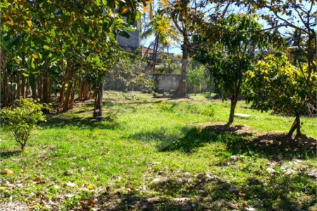 Área de Terra à venda com 1 quarto em Santa Cruz, Rio de Janeiro, RJ