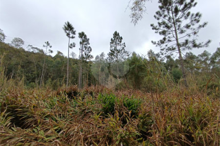 Terreno à venda em Vila Junqueira, São Roque, SP