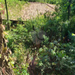 Terreno à venda em Morumbi, São Paulo, SP