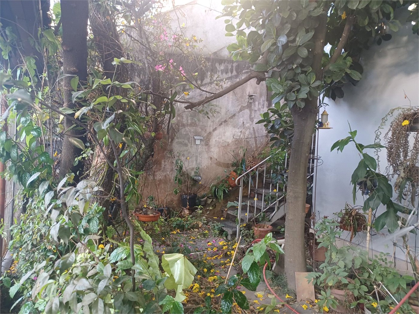Casa à venda com 3 quartos, sendo 1 suíte, em Vila Nova Mazzei, São Paulo, SP