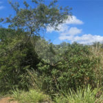 Terreno à venda em Caravelas, Armação dos Búzios, RJ