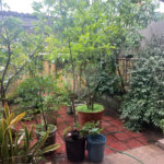 Sobrado à venda com 3 quartos, sendo 1 suíte, em Santana, São Paulo, SP