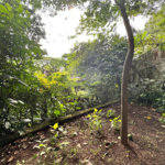 Casa à venda com 3 quartos, sendo 1 suíte, em Jardim Marajoara, São Paulo, SP