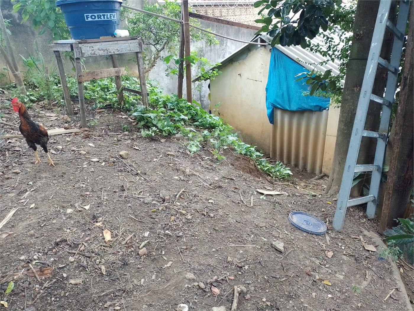 Terreno à venda com 1 quarto em Jaçanã, São Paulo, SP