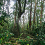 Terreno à venda em Morumbi, São Paulo, SP