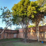 Casa de Alto Padrão à Venda e Locação no Parque Santa Mônica - São Carlos
