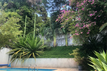 Sobrado à venda com 4 quartos, sendo 2 suítes, em Chácara Monte Alegre, São Paulo, SP