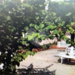 Apartamento de 345m2, 1 por andar.4 dormitórios (sendo 1 suite e 1 closet).