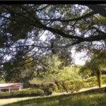 Fazenda à venda com 11 quartos no Centro, Analândia, SP