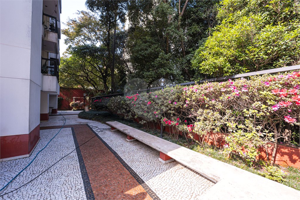 Apartamento à venda com 3 quartos, sendo 1 suíte,  em Vila Mascote, São Paulo, SP