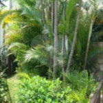 APTO PARQUE DA MOÓCA - MARAVILHOSO