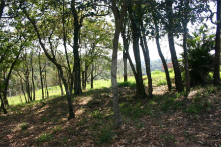 Terreno com 20.000m² à venda - no Parque Nova Xampirra, Jundiaí/Itatiba