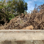 Terreno Comercial à Venda na Av. Teixeira de Barros – Rua Larga