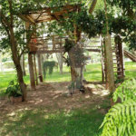 Sitio para venda.