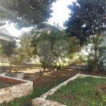Casa localizada no Bairro Imirim / 03 Dormitórios