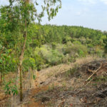 Ribeirão Grande - Bairro ferreira dos Matos - Sítio de 30.000 metros - R$ 600.000,00