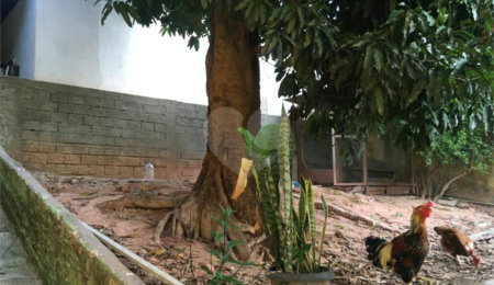 Terreno à venda com 1 quarto em Limão, São Paulo, SP