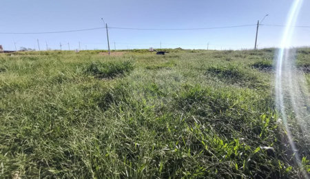 Terreno à venda em Loteamento Portal da Aliança II, São João da Boa Vista, SP