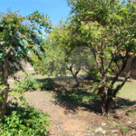 Terreno à Venda | Residencial Itamaraty
