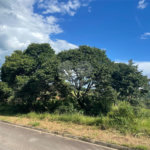 Terreno à venda em Arataba II, Louveira, SP