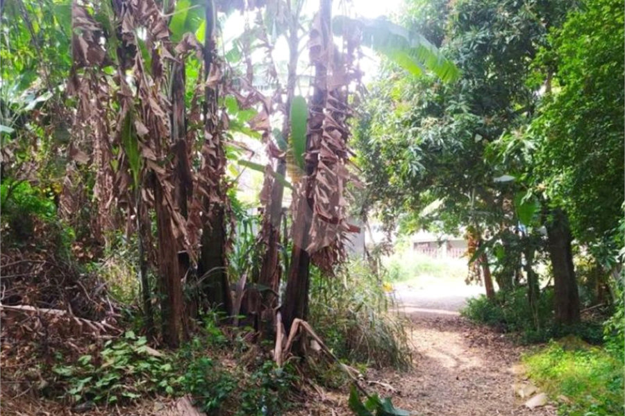 Terreno à venda com 5 quartos em Tucuruvi, São Paulo, SP