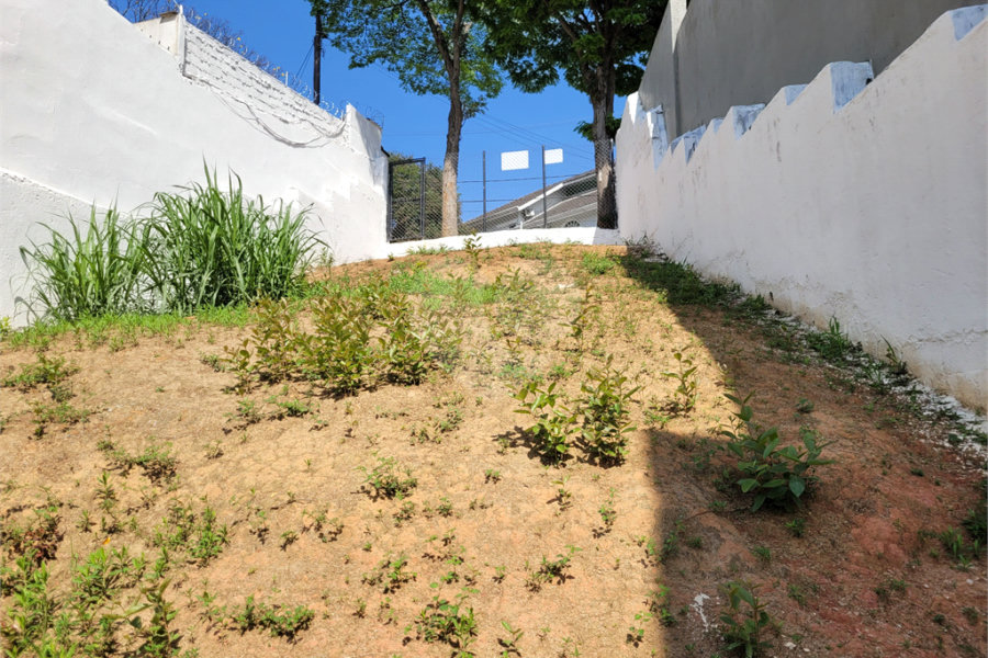 Sobrado à venda com 1 suíte em Tucuruvi, São Paulo, SP