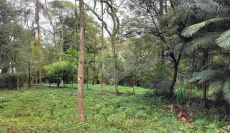 Casa à venda com 4 suítes no condomínio Chácara Flora, São Paulo - SP