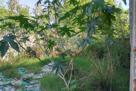 Loja à venda em Campo Grande, Rio de Janeiro, RJ