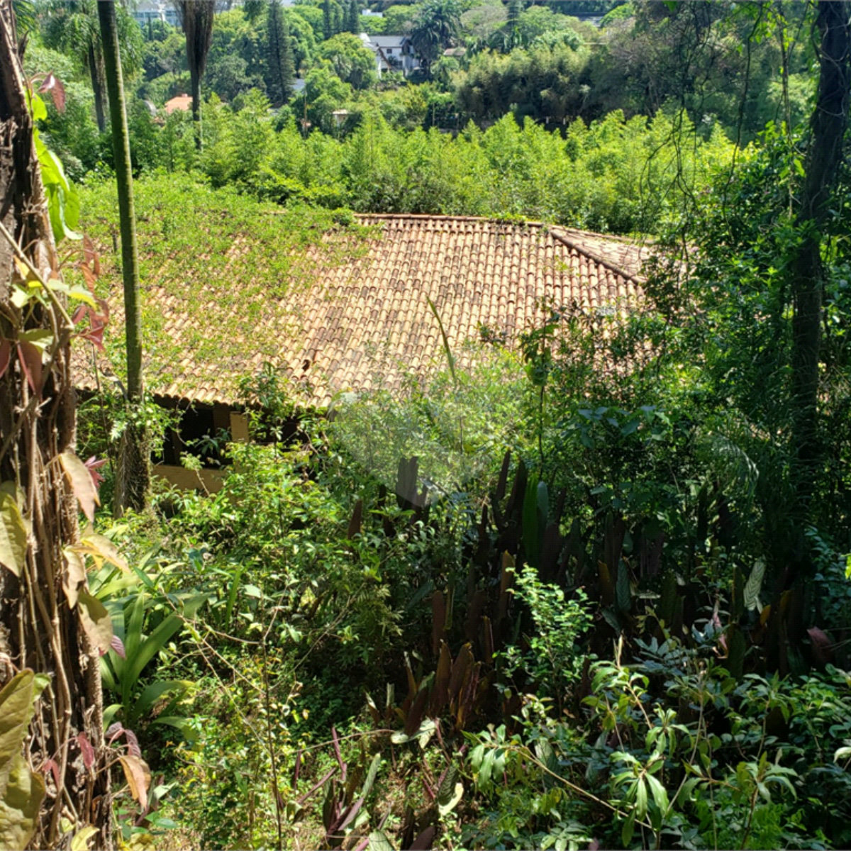 Terreno à venda em Morumbi, São Paulo, SP