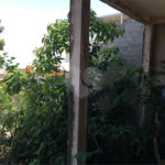 Terreno à venda com 3 quartos em Vila Maria, São Paulo, SP