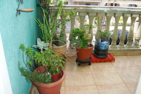 Casa à venda com 2 quartos, sendo 1 suíte, em Jardim do Colégio (zona Norte), São Paulo, SP