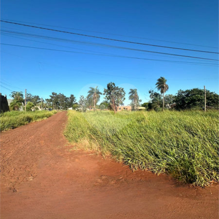 Terreno à venda em Pedro Juan Caballero, Amambay