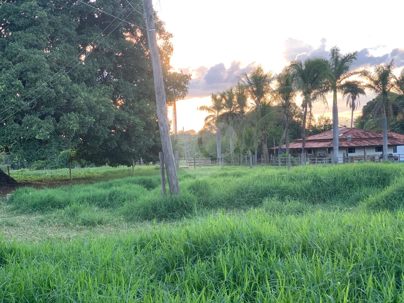 Fazenda à venda com 2 quartos em Canabrava, João Pinheiro, MG