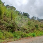 Terreno à venda em Luiz Fagundes, Mairiporã, SP