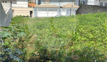 Terreno à venda em Jardim do Lago, Atibaia, SP