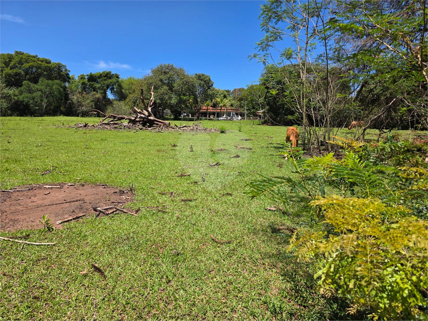 3021 m² de área para construção de chácara
