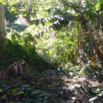 Terreno à venda em Casa Verde, São Paulo, SP