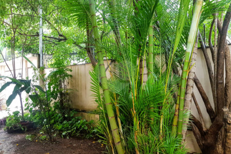 Casa à venda com 3 quartos, sendo 1 suíte, em Santo Amaro, São Paulo, SP