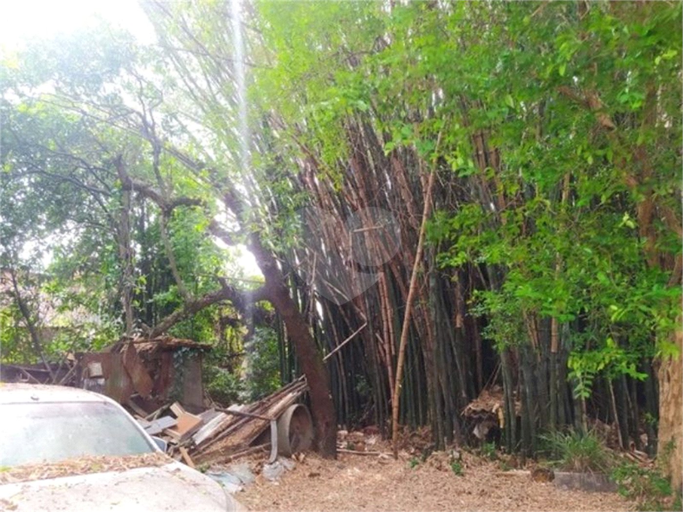 Terreno à venda com 5 quartos em Vila Medeiros, São Paulo, SP