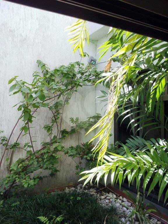Sobrado à venda com 3 suítes em Vila Maria Alta, São Paulo, SP