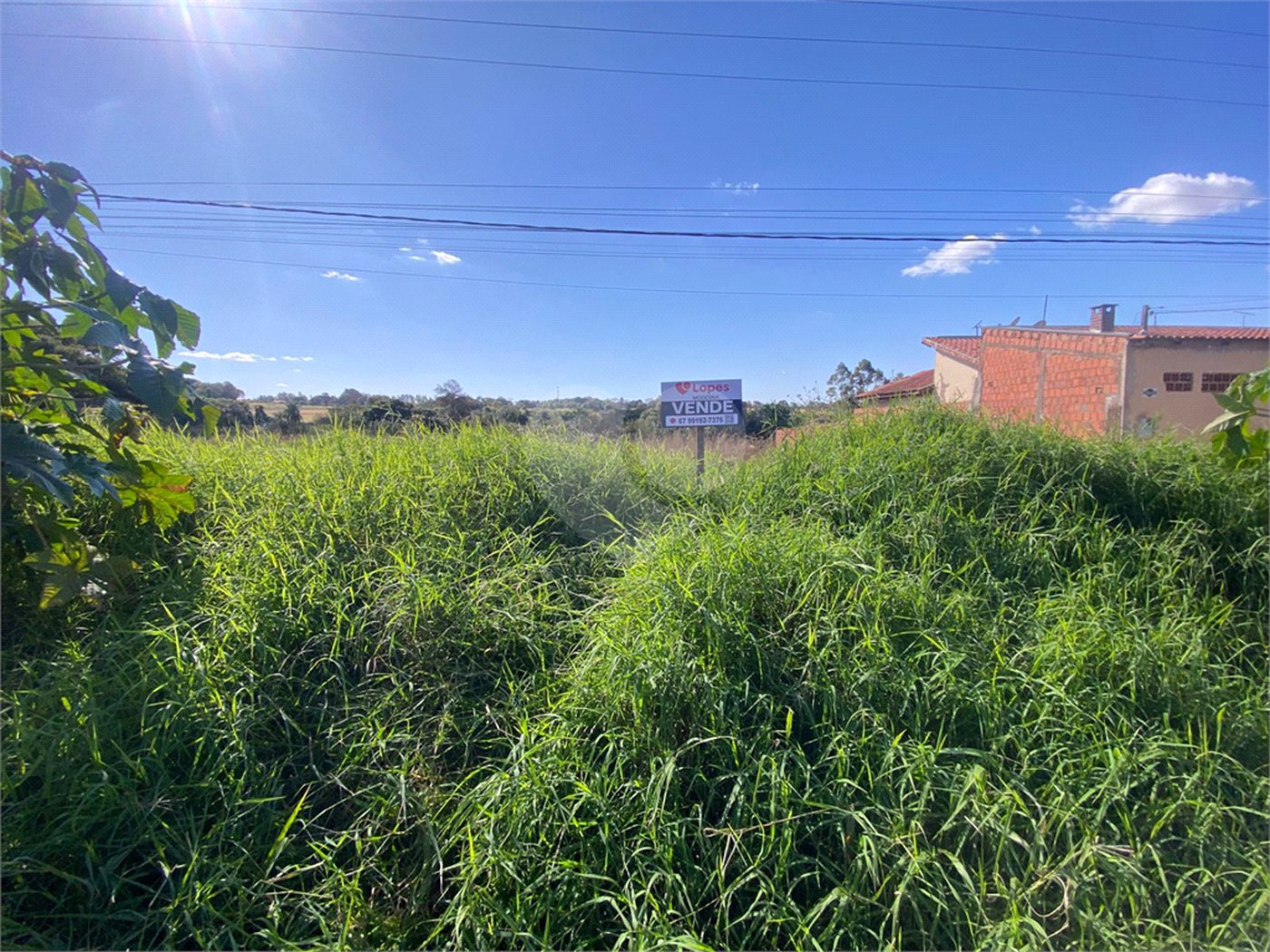 Terreno à venda em Jardim das Paineiras, Ponta Porã, MS