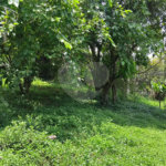Chácara à venda com 2 quartos em Vila Caputera, Mogi das Cruzes, SP