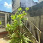 Casa à venda com 3 quartos, sendo 1 suíte, em Santa Cruz, Rio de Janeiro, RJ