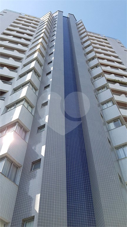 Apartamento à venda com 3 quartos, sendo 1 suíte, em Vila Paulicéia, São Paulo, SP