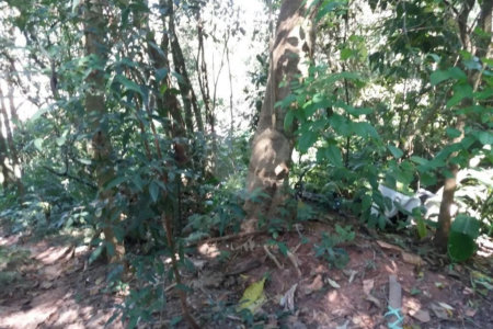 Terreno à venda em Tucuruvi, São Paulo, SP